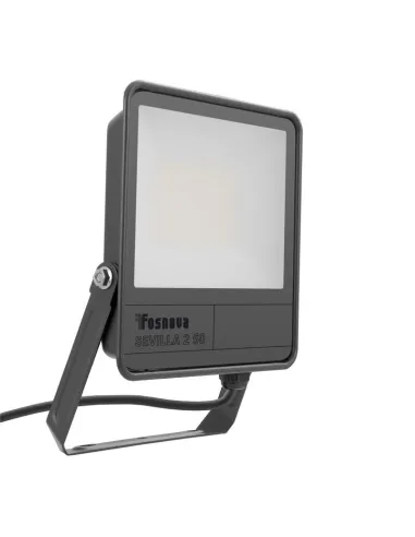 Fosnova Disano LED Floodlight 50W 6500K 5500 lumen Gray IP66 2241343300