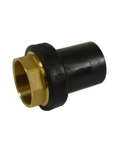 Nupi transition fitting Female D 20 x 1/2 in PE and brass 12ERFF2012