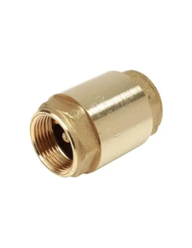 Giacomini disc check valve 1 inch R60Y035