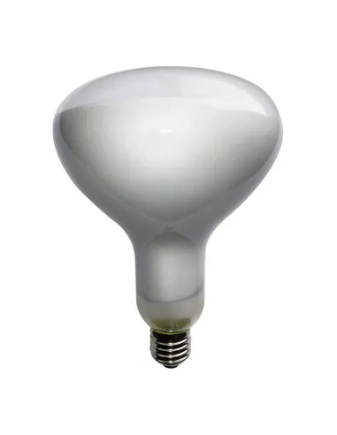 ECO-R125 Marino Cristal Filoled bulb 12W E27 connection 230V 21664