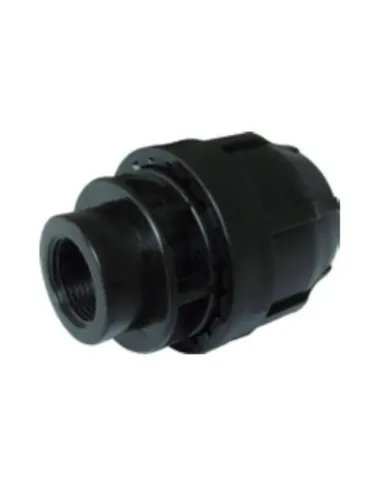 Nupi female straight threaded fitting D 20 mm 1/2 in PE 10KRFF2012