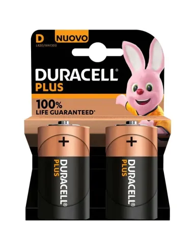 Batteria Torcia Duracell MN1300 1,5V Blister da 2 pezzi 302415000