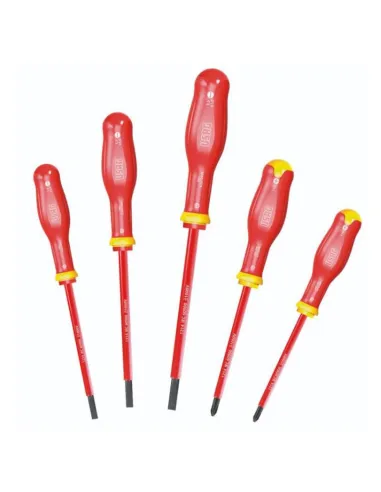 Set of 5 Usag 091 SH5 slotted and cross screwdrivers 1000V U00910100