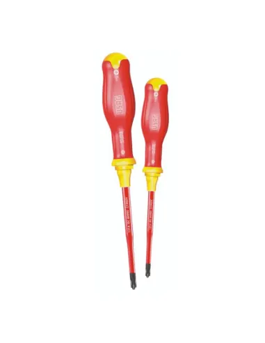 Kit of 2 Slim Usag 091 DPHB/SE2 screwdrivers for screws with combined footprint U00910125