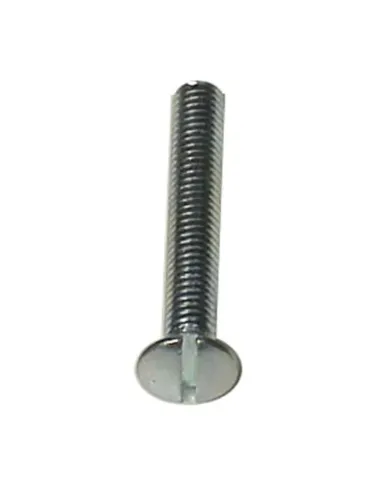 Screw for Idroblok sump plate M6 x 40 mm 02021140AC