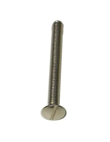 Screw for Idroblok sump plate M6 x 100 mm 020211100AC