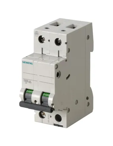 Interruttore magnetotermico Siemens 2P 2A 6kA tipo C 2 moduli 5SL62027BB