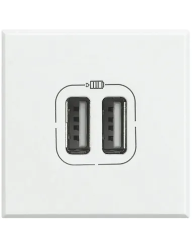 Bticino Axolute USB Charger Socket 2 HD4285C2 Modules